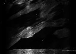 ascat_grayscale_ch3.png
